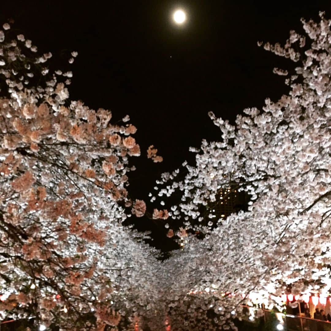 笛木優子のインスタグラム：「花冷え🌸🌸🌸 今晩イッピンの放送があります。 福岡県久留米の名産、籃胎漆器です。 ぜひ見てくださいね！ 「イッピン」 4月11日（火） 19:30-20:00 再放送 4月18日（火）06:30-07:00 【放送】NHK　BSプレミアム」