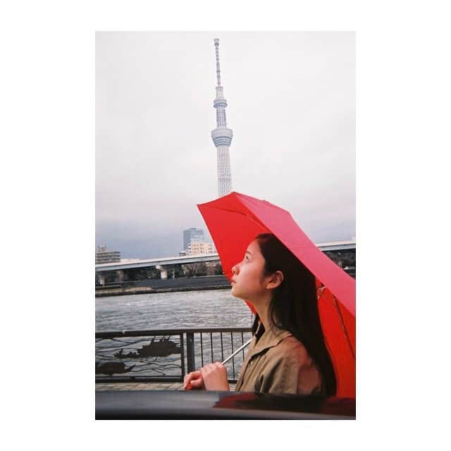 堀田真由さんのインスタグラム写真 - (堀田真由Instagram)「・ 雨の日、嫌いじゃない。  #film」4月11日 19時43分 - mayuhotta