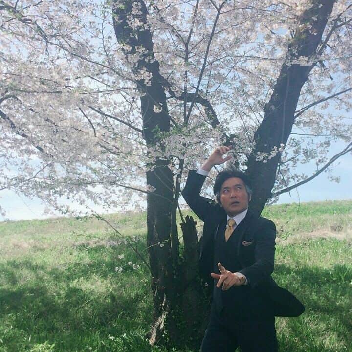 テレビ朝日「豆腐プロレス」のインスタグラム：「桜の木の下で。プロレスコンダクター、矢崎さん。」