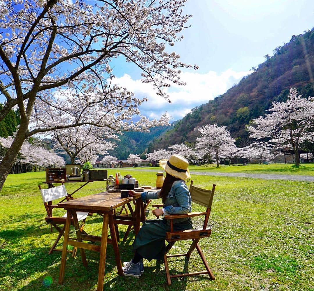 marikoさんのインスタグラム写真 - (marikoInstagram)「#ig_japan #outdoor #camping #camp #instagramjapan #キャンプ#マリキャン#おしゃれソトごはん #レシピ本#アウトドア#さくらキャンプ #sony #hyakkeime * 2017.4.12 * * 貸切最高〜(*≧▽≦)ﾉｼ))💕💕 * * 来年もまた満開くるぞー🌸🌸 * * #ディキャンプ #泣く泣く撤収 #くしゃみとまらなーい🤧🤧 #４月１５日発売  #おしゃれソトごはん  #発売まであと3日😊💕 #マリキャン本も頑張ってます(﹡ˆᴗˆ﹡)」4月12日 16時41分 - marimari8208