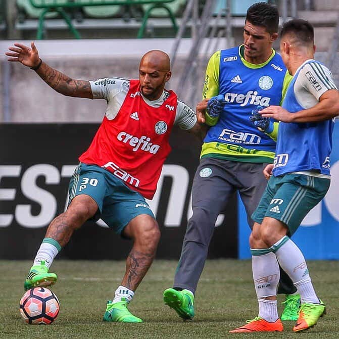 フェリペ・メロのインスタグラム：「🐷💚🔝 @felipemelo」