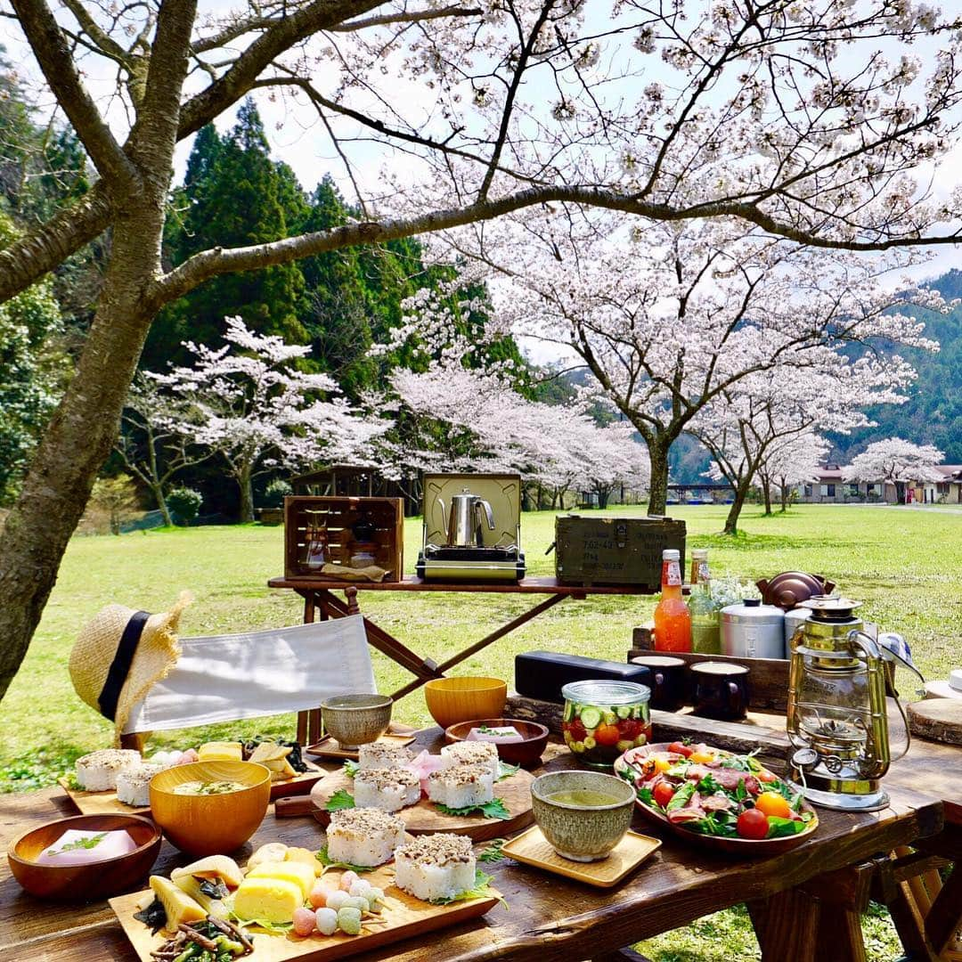 marikoさんのインスタグラム写真 - (marikoInstagram)「#camp #outdoor #camping #cafe #カフェ#マリキャン#マリキャン本#キャンプ#キャンプ飯#アウトドア#おしゃれソトごはん #cafe #ig_japan #さくらキャンプ #instagram #sony #α7sⅡ#SEL1635Z#hyakkeime * * 2017.4.13 * * おはようございます❁.*⋆✧°(●´ᆺ`) * * 昨日のさくらディキャンプ🌸 * * お花見御膳をご用意🌸😋😋🌸 * * なま節を使ってさくら型の押し寿司🌸🌸 * * 久々に作ったけどすし飯だからいくらでも食べれちゃう😋😋 * * あとはお惣菜を買って御膳風に盛っただけーん😆👌 * * #スペリオールフライシート昨日届いたよ(*≧▽≦)ﾉｼ)) #おしゃれソトごはん  #４月１５日発売  #発売まであと2日😊💕 #マリキャン本も頑張ってます 😊😊」4月13日 6時40分 - marimari8208