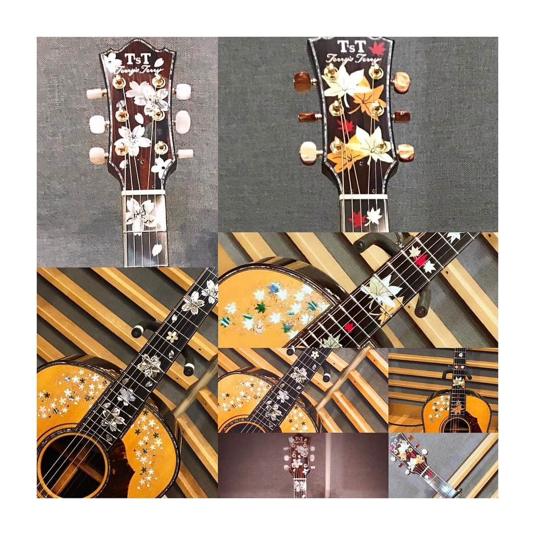 さだまさしさんのインスタグラム写真 - (さだまさしInstagram)「テリーズテリーの新作登場‼️ しかも２台🎸🎸 「桜」と「紅葉」 音はステージで🎶🎶 . #さだまさし  #sadamasashi  #テリーズテリー」5月12日 11時36分 - sada_masashi