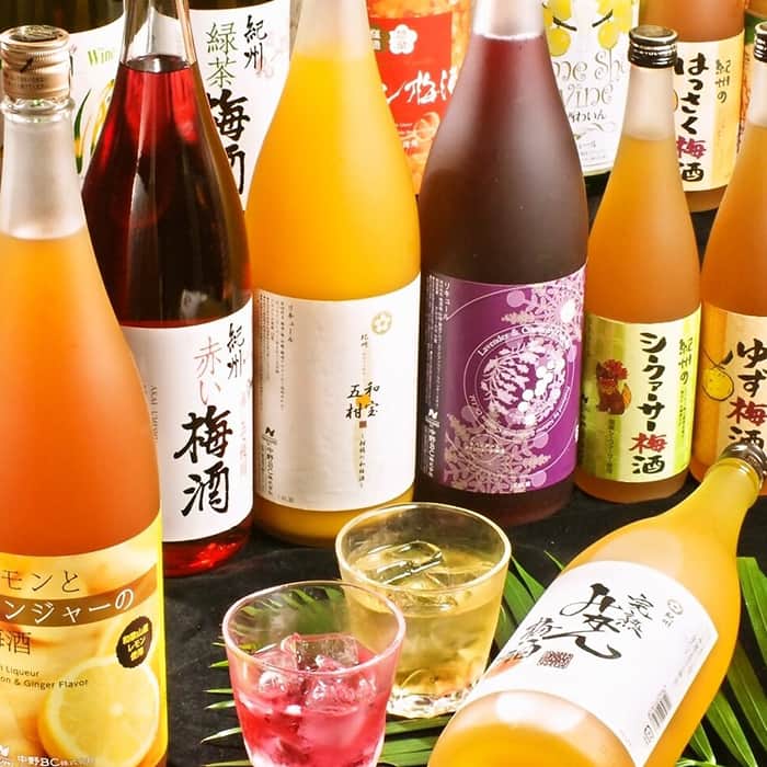 ウメ子の家　銀座店のインスタグラム：「ウメ子の家 銀座有楽町店 http://umekonoie-ginzayuurakucho.com 電話番号 050-7576-4721  ウメ子の家 銀座有楽町店、PR担当です。 当店はその名の通り、梅酒が自慢のお店。定番のものから一風変わったものまで、数多くの梅酒を取りそろえております。ぜひ一度ご来店の上、お気に入りの梅酒を見つけてみてくださいね。  #ウメ子の家 #有楽町 #梅酒 #個室 #宴会 #歓送迎会 #食事会 #デート #飲み会 #女子会 #ママ会 #食事会 #コース #接待」