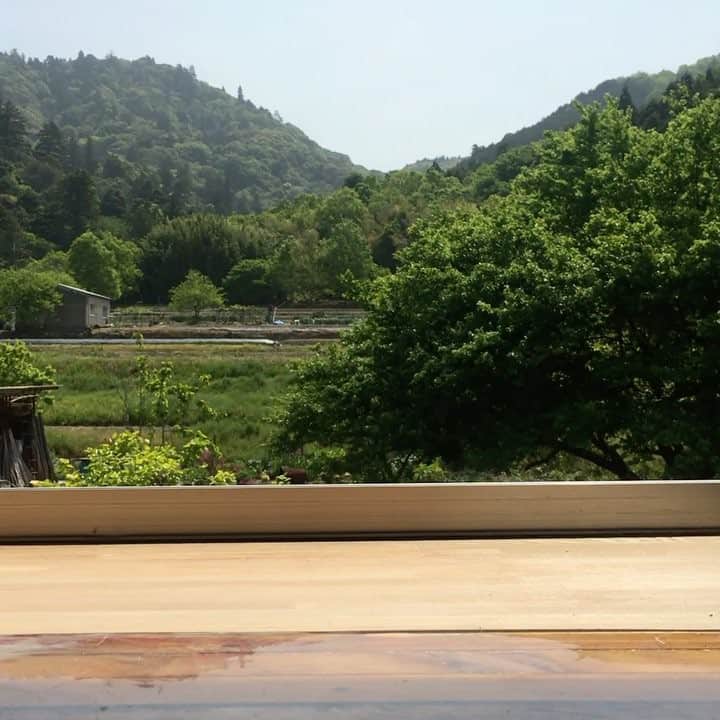 菊井亜希のインスタグラム：「奈良にきてちょうど1週間。 引越しを手伝ってくれた友達も、家族も、みんなありがとう🙏✨慣れない環境で毎日バッタバタやけども💨💨 ようやく落ち着いてきました〜😌 ホーホケキョで目覚める朝はホントに気持ちいい🌞🌳🍃🦌 #naralife」