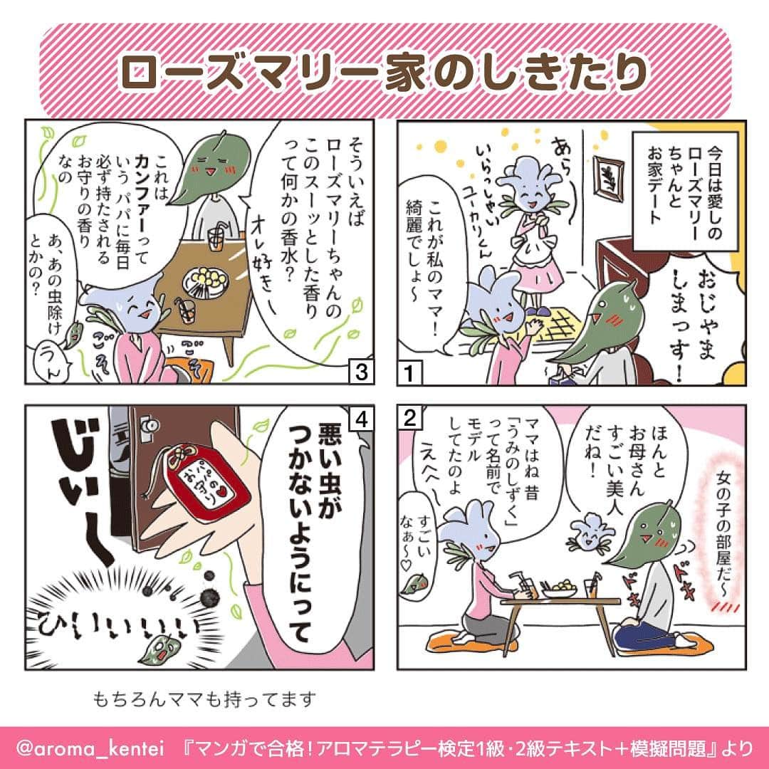 マンガで合格！アロマテラピー検定のインスタグラム：「カンファーという成分は防虫剤の原料にも使われています。数種のケモタイプ（生育条件によって異なる構成成分を持つ精油のタイプ）がある精油です😊  #アロマテラピー検定 #アロマテラピー #アロマ #アロマセラピスト #資格 #資格試験 #インプレス #4コマ漫画 #漫画 #精油 #エッセンシャルオイル #ローズマリー #カンファー #ケモタイプ」