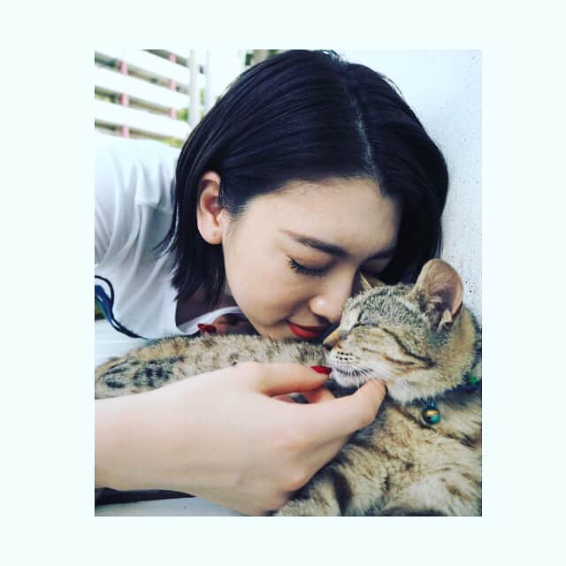 三吉彩花さんのインスタグラム写真 - (三吉彩花Instagram)「🐈 #cat #love #okinawa」5月10日 18時11分 - miyoshi.aa