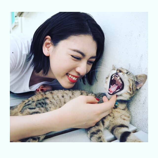 三吉彩花さんのインスタグラム写真 - (三吉彩花Instagram)「🐈 #cat #love #okinawa」5月10日 18時11分 - miyoshi.aa