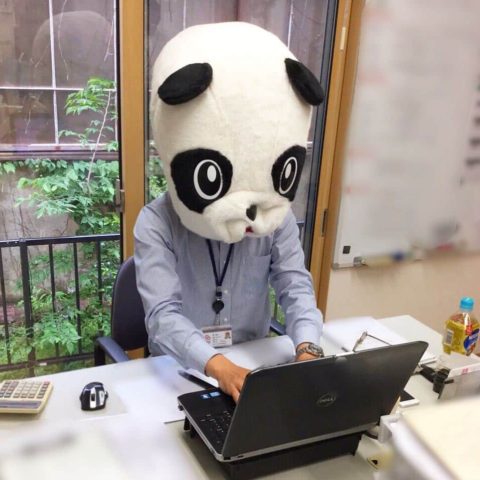 ミサワホーム桑名展示場のインスタグラム：「桑名展示場の パンダさん🐼はお休みの日も お仕事しています👨‍💻🏠🏠 休日出勤🐼おつかれさまです〜〜 #ミサワホーム#桑名展示場 #休日出勤#お仕事#パンダさん #明日からまたお仕事です」