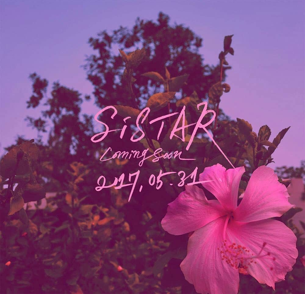 SISTERのインスタグラム：「[#SISTAR] #씨스타 #COMEBACK #170531 #COMINGSOON」