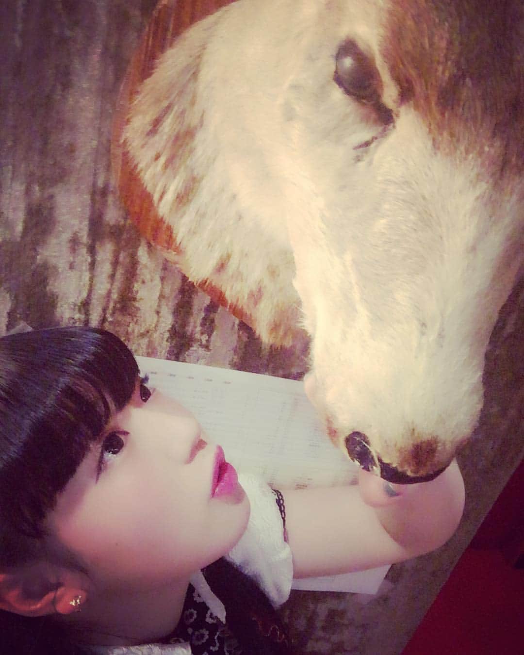 KOTOのインスタグラム：「馬ぢゃないよ鹿だよ  #japanesegirl  #idol  #シカ  #バカぢゃないよ」