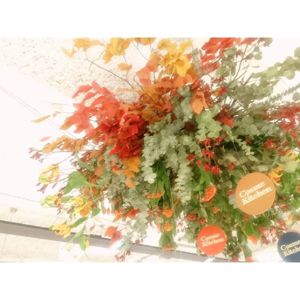 水木彩也子のインスタグラム：「🍀 . オーガニックに特別興味がある訳じゃなかったけど、熱心にお話ししてもらうと、こだわりがあるって素敵だなぁと思った(^^) . お話し聞いて、原料が作られている高原とか想像するとすごく気持ちいいー🍃 . 想像しながら使うと気持ちも優しくなれるかなー . お土産もらった👜🎀 . . . . . #コスメキッチン #オーガニック #展示会」