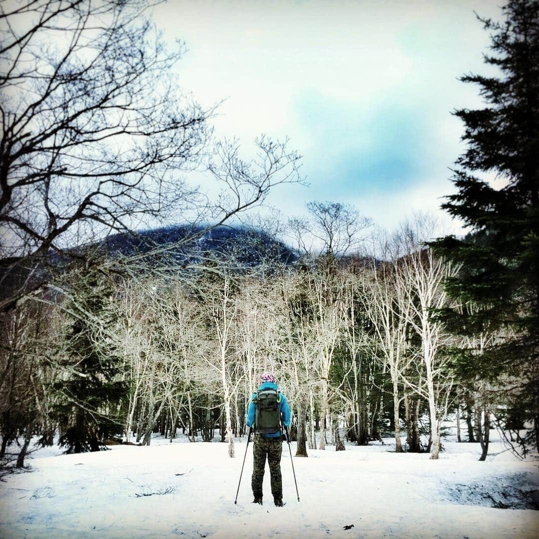 長島慎治さんのインスタグラム写真 - (長島慎治Instagram)「寒かった。 #日光白根山」5月11日 19時08分 - shing_nagashima