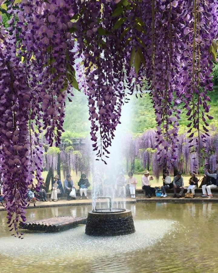 kyoko_zzzのグルメインスタ