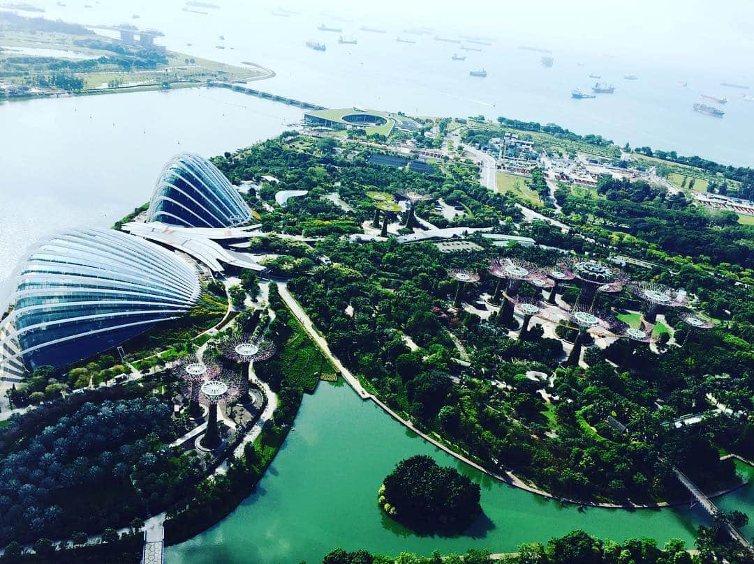 萩美香のインスタグラム：「上からの眺めで大満足！ #1度は行ってみたかった場所  #シンガポール」