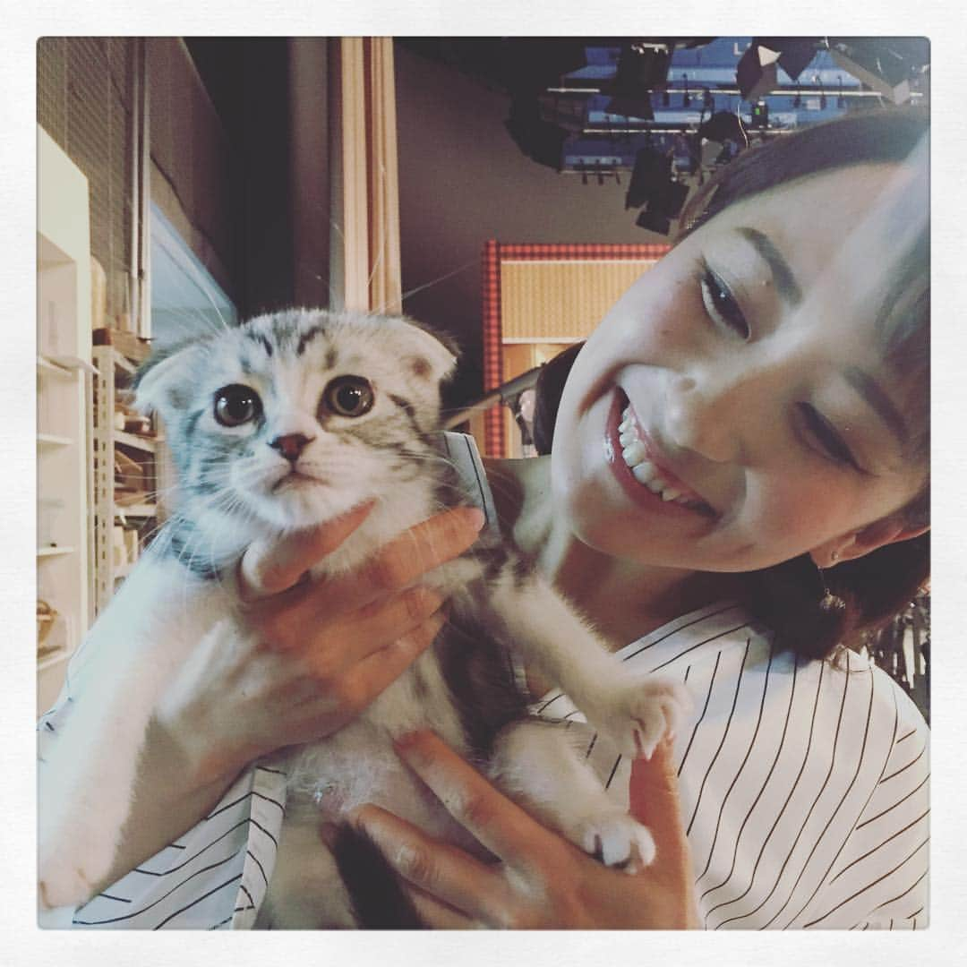 石井しおりさんのインスタグラム写真 - (石井しおりInstagram)「今週はお休みです♪次回は4/30です。#uhb #北海道からはじ◯TV #日曜 #お昼1時から #生放送 #ベッキー #千原ジュニア #石井雅子 #福本義久 #石井しおり #札幌吉本芸人 #Yahoo!  #Yahoo!天気 #芸人てんき予報 #ワンダードッグ #平岸本店」4月19日 21時49分 - shiori_hajimarutv