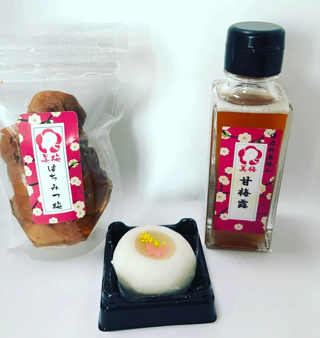 The Shun Jpのインスタグラム：「"WAGASHI" (Japanese sweets) made with UME (Japanese Plum)🍡✨ Yummy😋 Products info; Right➡︎UME Syrup Left➡︎UMEBOSHI (pickled Japanese Plum) * #wagashi #japanesesweets #ume #umewagashi #umeboshi  #pickledplum #yummy #shiokjapan」