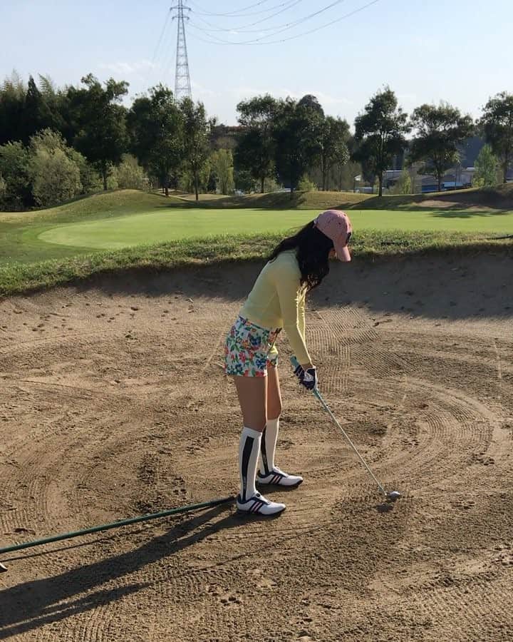 のインスタグラム：「先日のバンカー祭り😂😂 この日はバンカーの練習に行ったの。笑 ・ #golf #golfmove #girlsgolf #golfstagram #enjoygolf #golftoday #callaway #vivaheart #lecoqsportif  #gtバーディーズ #女子ゴルフ #ゴルフトゥデイ #ゴルフコーデ #春ゴルフ #ゴルフコーディネート #ゴルフファッション #ゴルフ初心者 #ゴルフ成長日記 #ゴルフ動画 #スィング動画 #ゴルフムービー #バンカー地獄 #バンカー祭り #バンカー動画 #バンカーショット #みんなの期待はバンカーに入ること #バンカーが私を呼んでる #もはやホーム #ひよっこにゃん #mimiゴルフ」