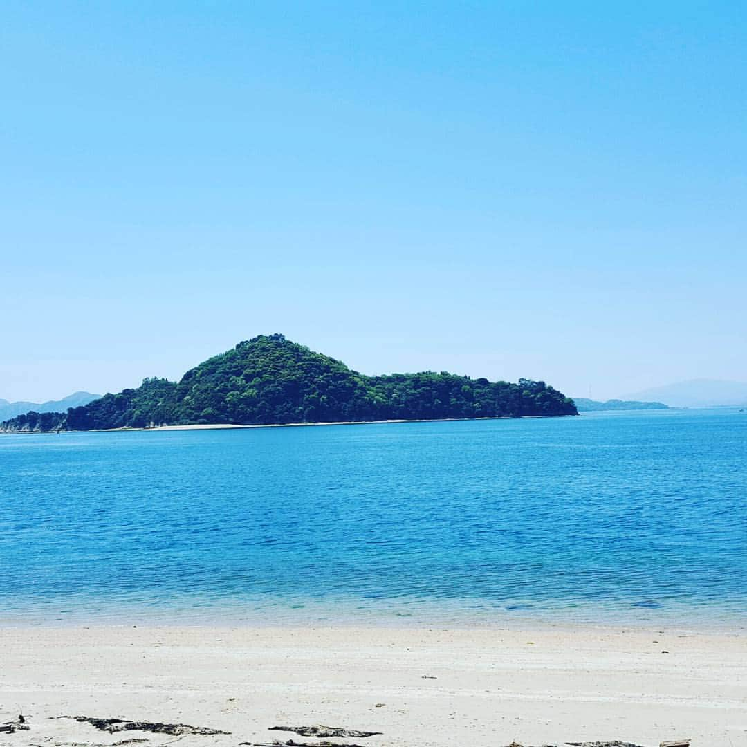 御船健のインスタグラム：「ウサギがたくさんの大久野島。 昔は毒ガスを作っていた島で地図にも載ってなかったとのこと。 そんなことが昔あったなんて嘘のようにウサギは幸せそうでした。」