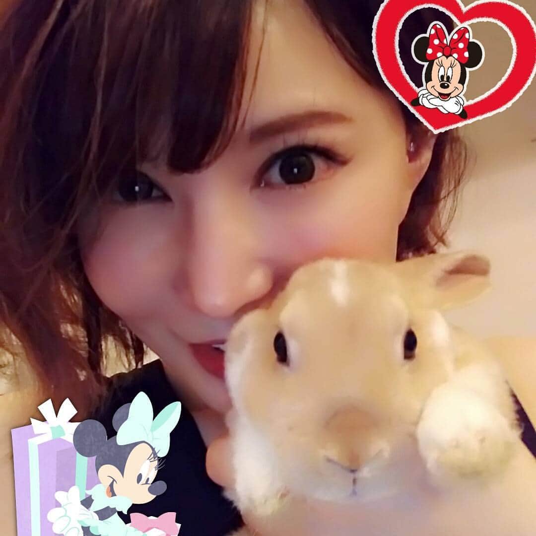 里美ゆりあのインスタグラム：「おやすみぷー😘 #リンちゃん#愛うさぎ #兎#おやつ #おやすみ #love」