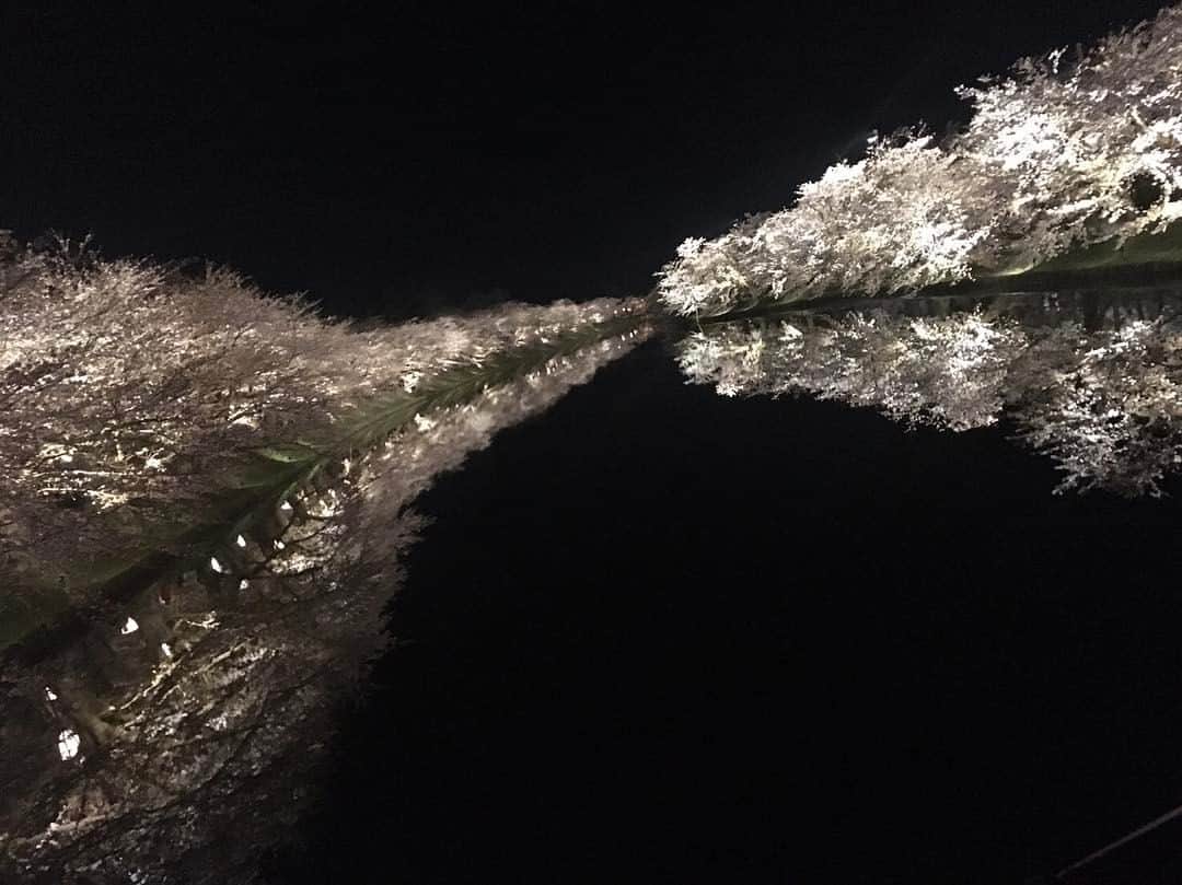 のインスタグラム：「自分で見にいけないから地元の友達に送ってもらったけどやっぱり日本一の桜は最高やね。感動。#弘前#桜祭り#日本一#サイコーーー」