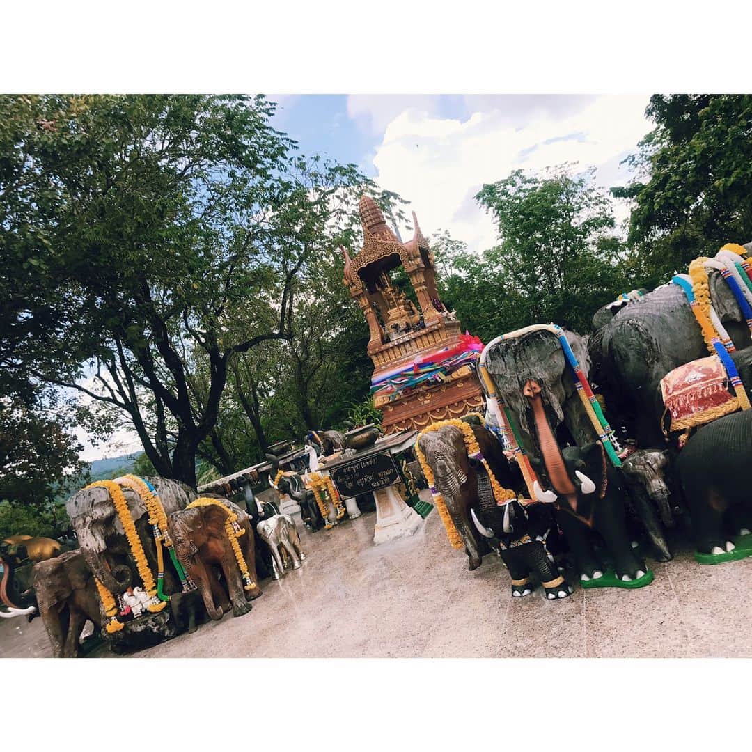 染谷有香さんのインスタグラム写真 - (染谷有香Instagram)「タイでは象をとっても大切にしているそう…🐘💫 #トラベルWatch  #タイ国政府観光庁 #sometravel  #ソメタイ #Phuket #thailand」4月26日 18時55分 - someyuka_0117