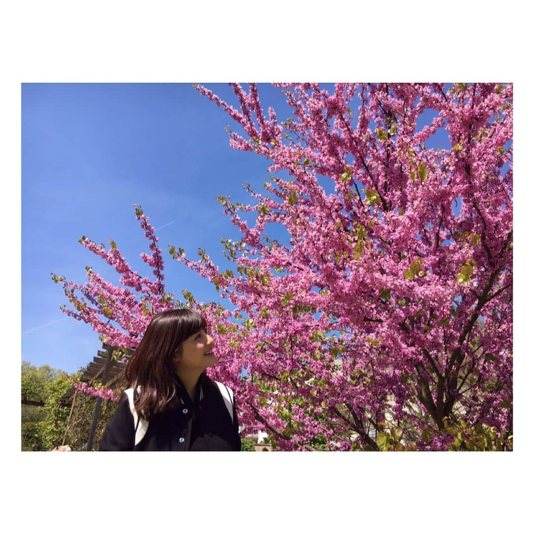 佐藤ありささんのインスタグラム写真 - (佐藤ありさInstagram)「良い天気の日😎☀️ 散歩してお腹空いたのでワッフル🍽」4月27日 10時59分 - satoarisa920