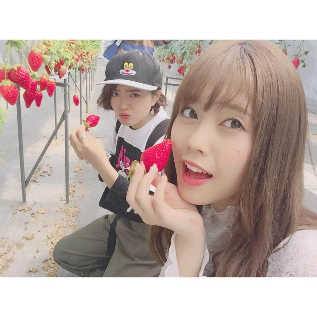 竹内舞さんのインスタグラム写真 - (竹内舞Instagram)「先日美紀ちゃんと🍓💕💕 #苺狩り#🍓#love#まいてぃ」4月27日 17時24分 - 01maitakeuchi