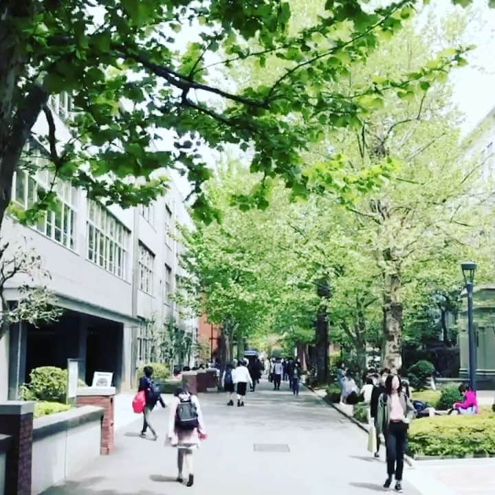 立教大学のインスタグラム