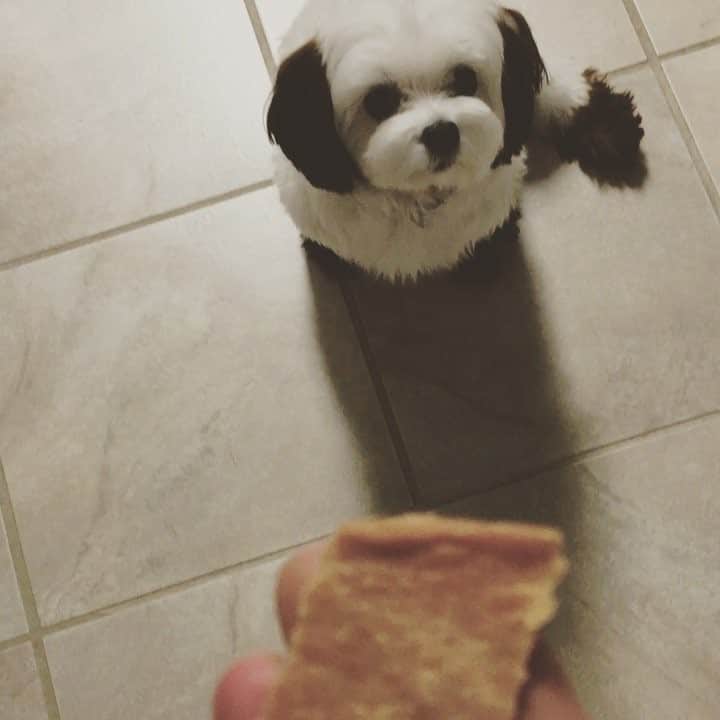 のインスタグラム