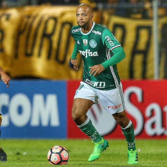 フェリペ・メロのインスタグラム：「💪🐷💚 @felipemelo」