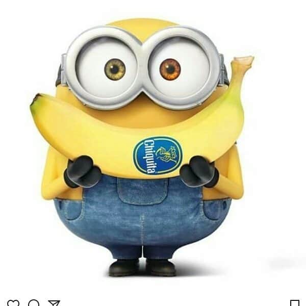 Minionsのインスタグラム