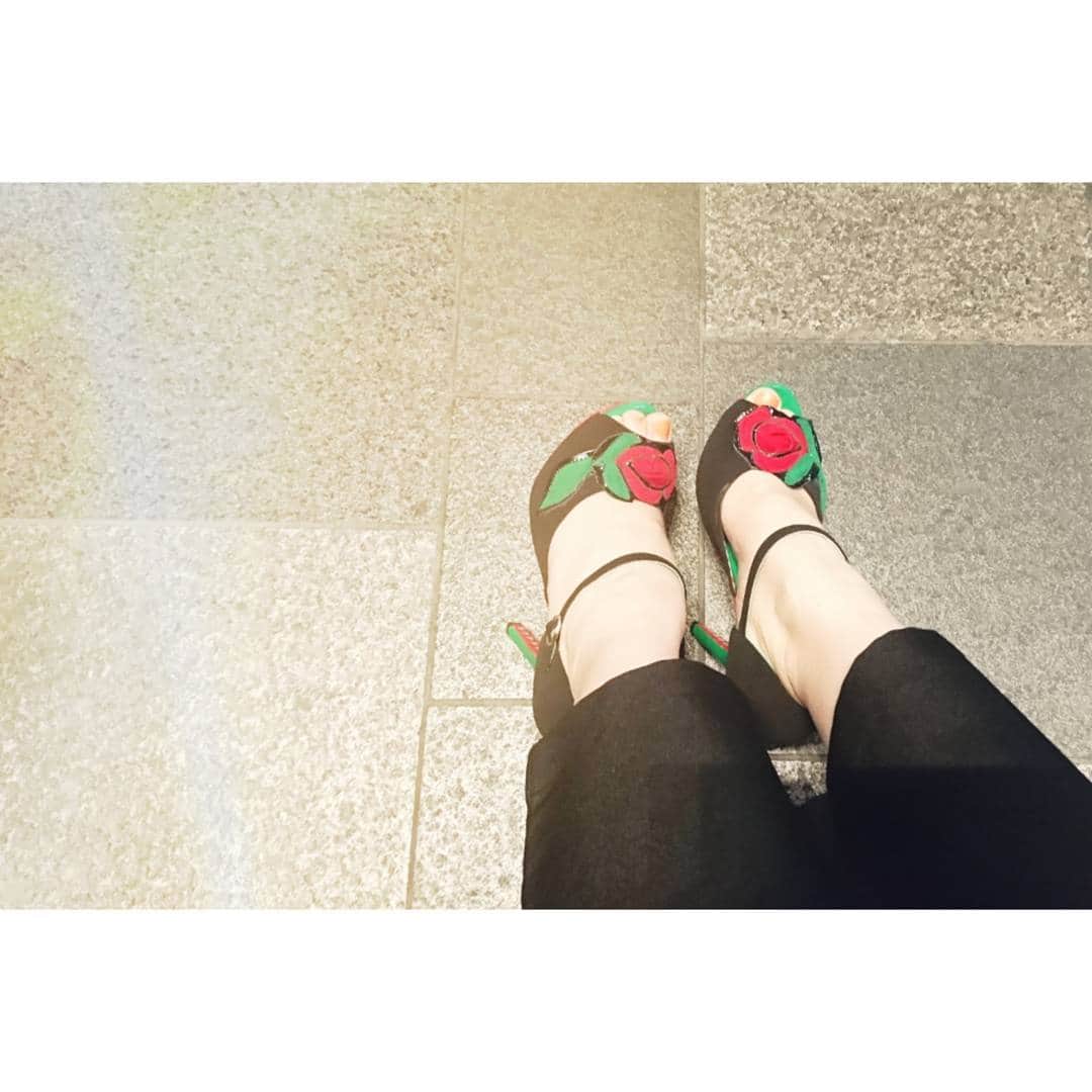 水木彩也子のインスタグラム：「👠🌹♥ . カナダのロケに行った時に買った靴(*^^*) . ショーウィンドーに飾られていて一目惚れ！ . ヒールが高くてなかなか履けないけど そんなの関係ない！好きな格好をするんじゃい！ って時にやっと履ける(^^) . 今日はお天気いいですねー 体が2割くらい軽くなった気がする♪ . よい1日を🍀 . . . . . #カナダ #靴 #バラ #canada #shose #rose」