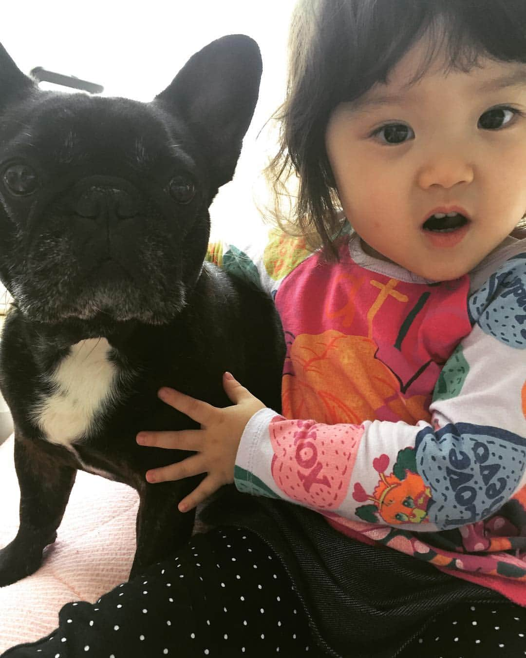 竹村真琴さんのインスタグラム写真 - (竹村真琴Instagram)「寝起きのすずか変な顔w #ルビー #frenchbulldog  #姪っ子 #可愛い #愛おしい」4月28日 10時04分 - makototakemura511