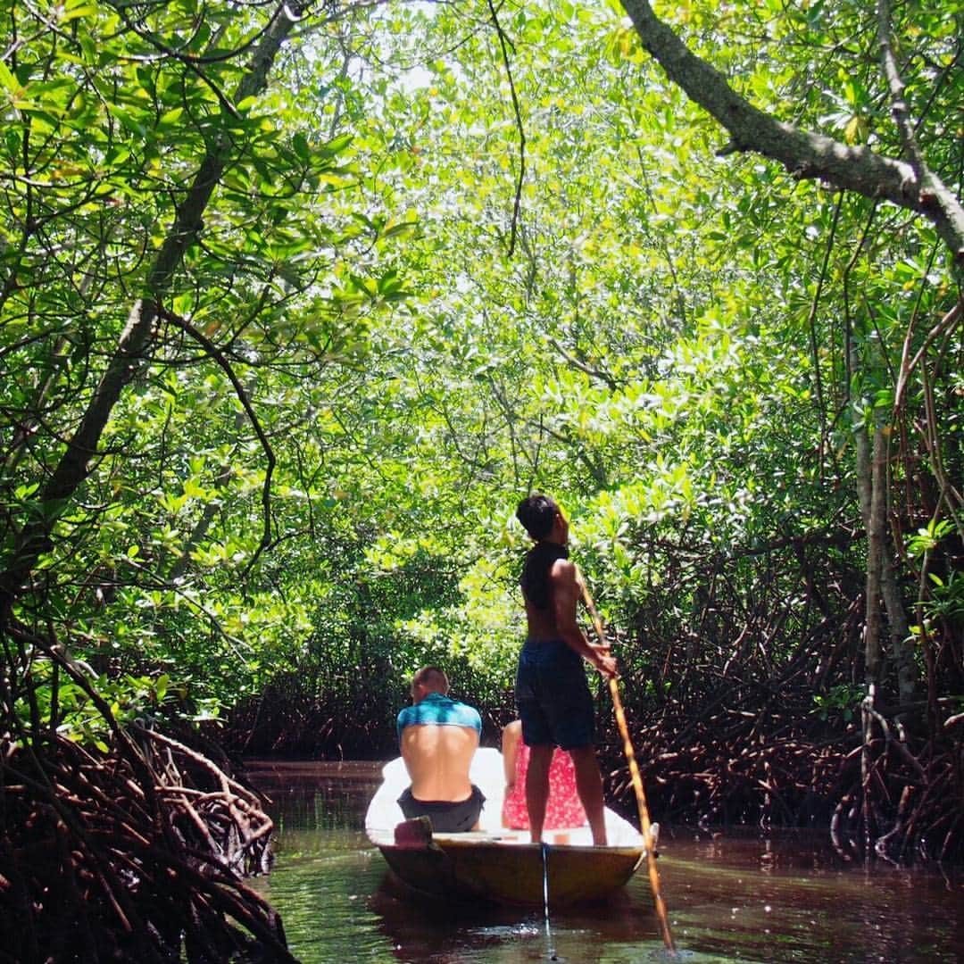 天田優奈さんのインスタグラム写真 - (天田優奈Instagram)「#beach#sky#blue#beautiful#photos#photo#summer#bali#ubud#yoga#mangrove#」4月29日 10時48分 - tendayuuna