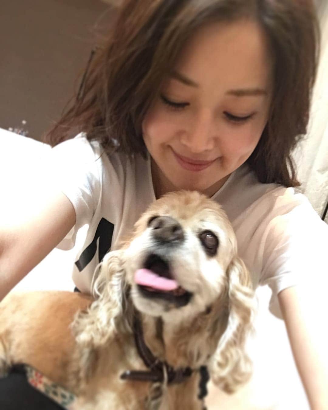 笛木優子のインスタグラム：「🐶💟 明日生放送出まーす。 「さまぁ～ずの神ギ問」 【日時】2017年4月30日（日）13:00-13:30 【放送】フジテレビ  そして夜は 「林先生が驚く初耳学！」 【日時】2017年4月30日（日）22:00-22:54 【放送】TBS系  よろしくお願いします🙌🏻🎼🎀 #개스타그램 #애견」