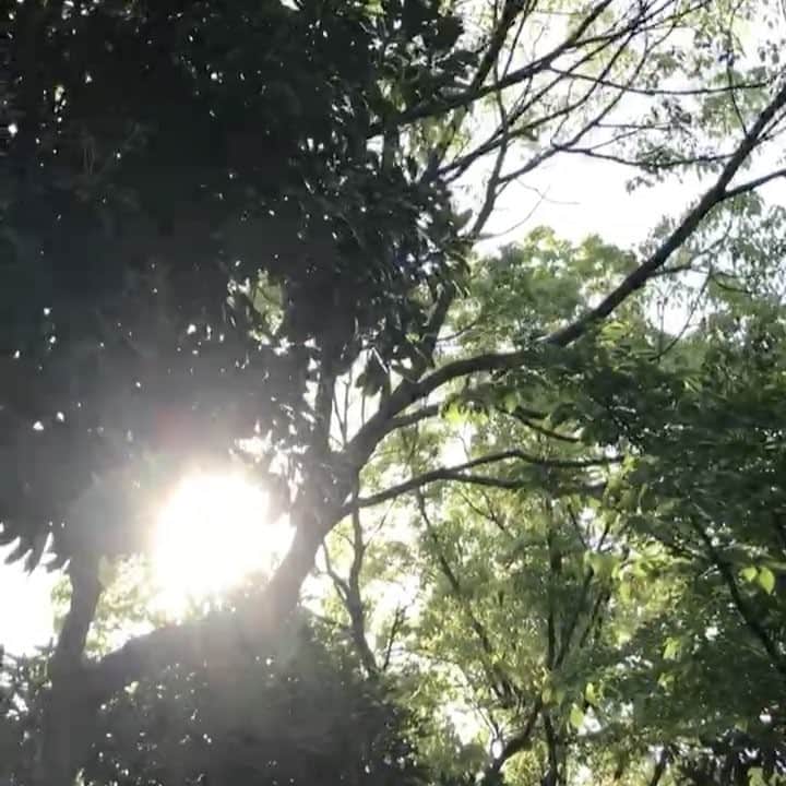 Yuiのインスタグラム：「. . ストーリーって保存できるのね💡 . 無作為の切りとりが 思いがけず温かくて困る。 .」