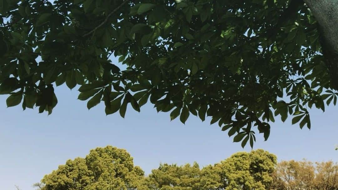 虎南有香のインスタグラム：「良い天気〜🍃☀️🍃」