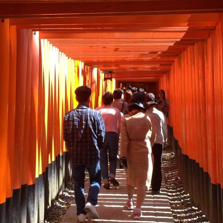 こしじまとしこのインスタグラム：「こし散歩in京都【伏見稲荷大社】 💡写真はスライドして見てね💡  #伏見稲荷大社 #千本鳥居 #京都 #こし散歩 #rx100m3」
