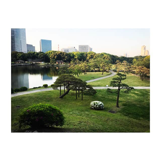 林美沙希さんのインスタグラム写真 - (林美沙希Instagram)「とても綺麗な場所なだけに悲しいです。何があってこうなったのでしょうか。 #テレ朝#サンデーステーション#今日です#浜離宮恩賜庭園#庭園」4月30日 19時13分 - misaki0hayashi