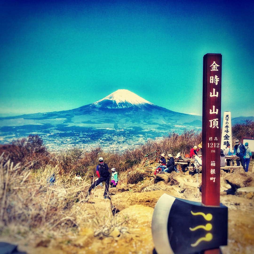 長島慎治さんのインスタグラム写真 - (長島慎治Instagram)「富士山！ #金時山」4月30日 20時11分 - shing_nagashima