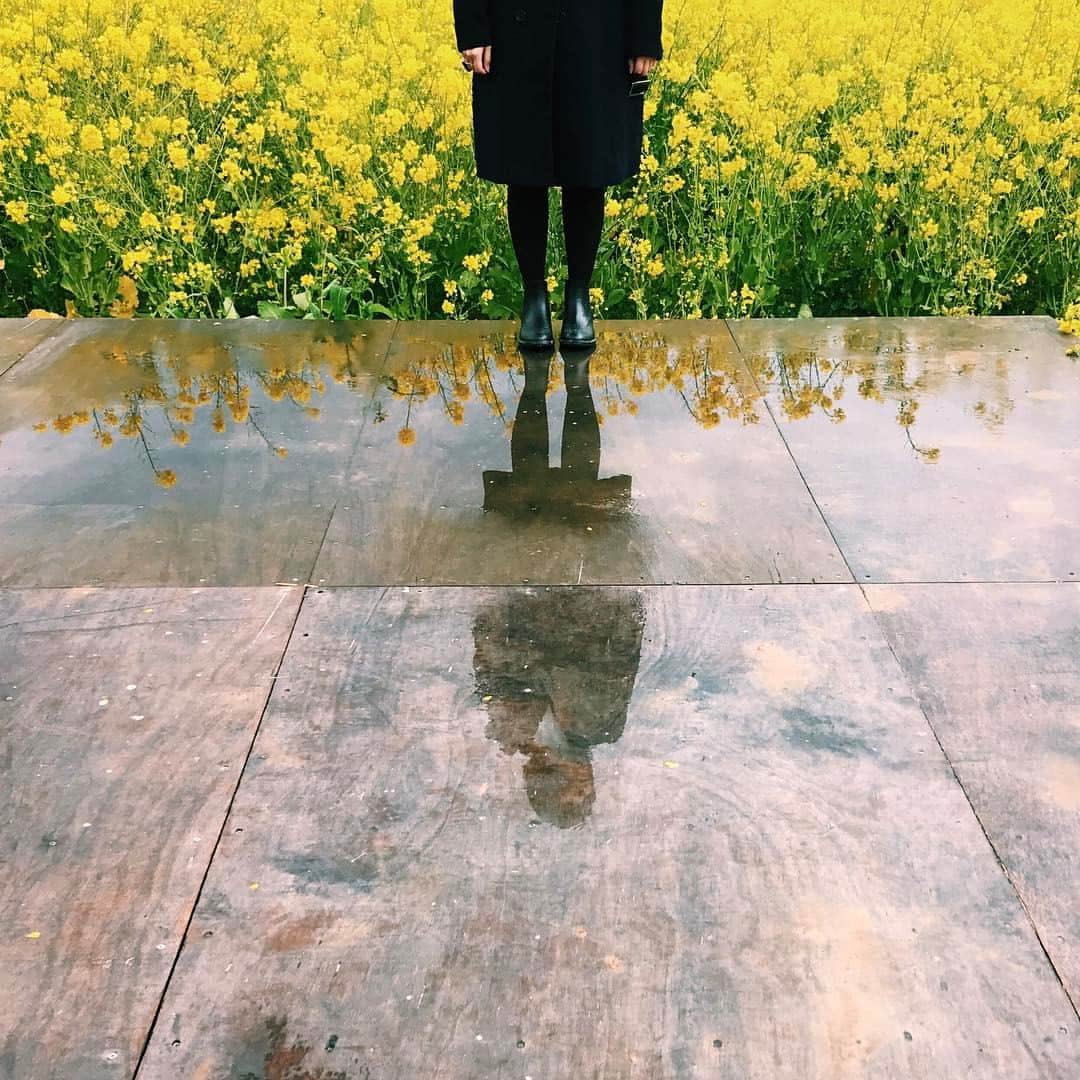 Koshiのインスタグラム
