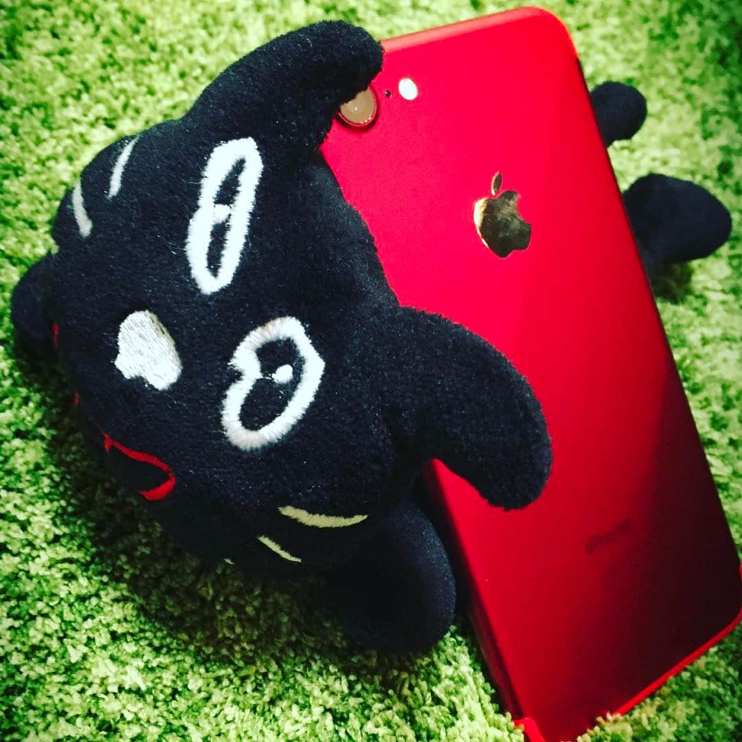 キヨのインスタグラム：「あったらしいiPhoneにしたんじゃーーーーーーーーーーーーーーーーーーーーーーーーーーーーーーい！！！！！今度はぶっ壊れないでくれよな！！！！！！」