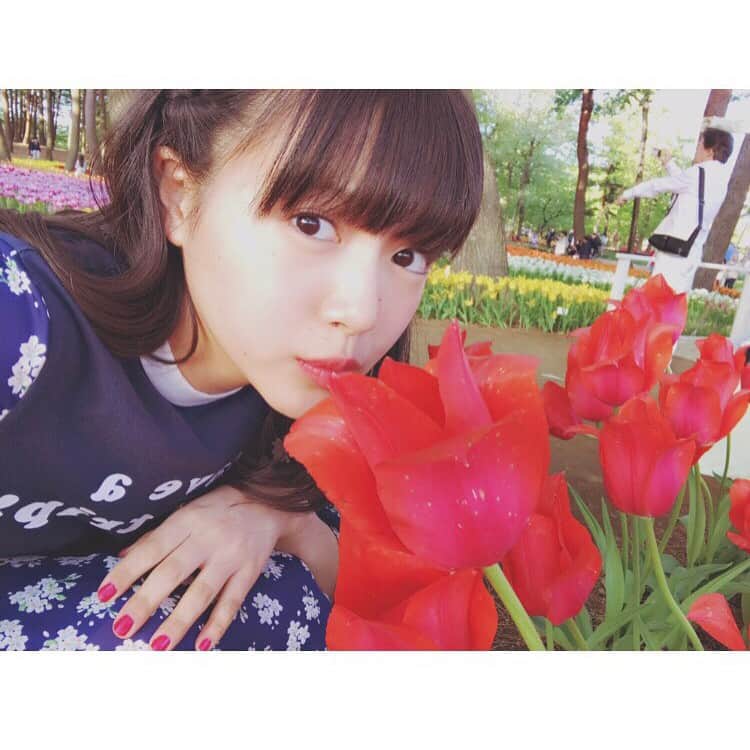 中山莉子さんのインスタグラム写真 - (中山莉子Instagram)「・ チューリップ🌷 ・ #国営ひたち海浜公園#茨城#春#花#ちゅーりっぷ#tulip#flower#spring」5月2日 19時50分 - nakayama_riko_official