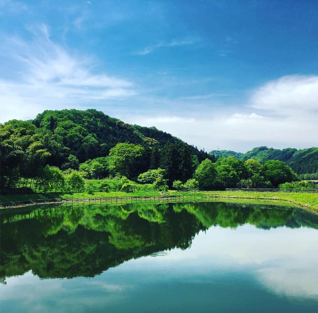 丸山穂高のインスタグラム：「青い空シリーズ。地元泉州の奥貝塚にて本日行われた、たわわ祭りにて。上下反転して水面に映る深緑もまた美しい。 #青い空 #深緑 #貝塚市 #たわわ」