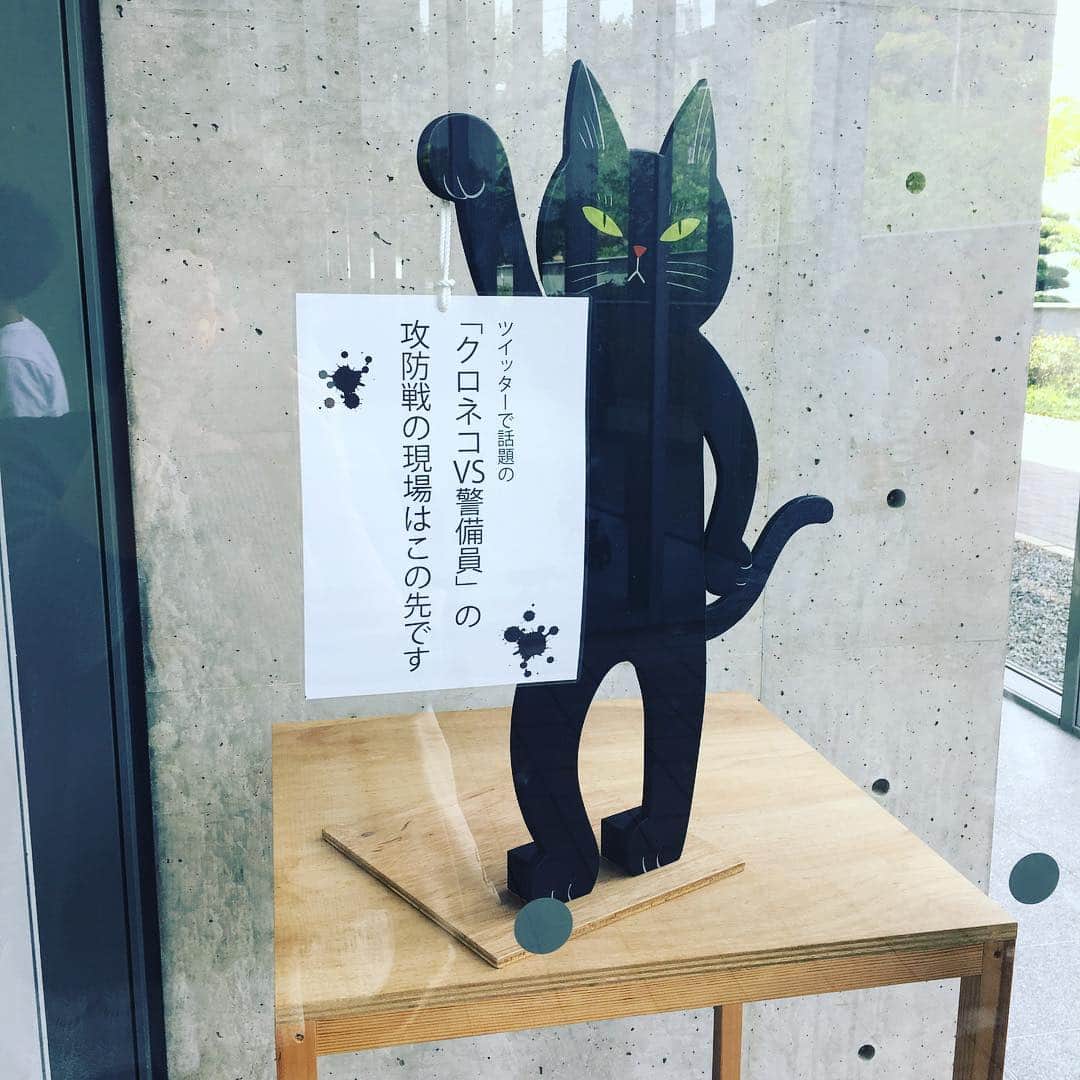 たにはらなつきのインスタグラム：「尾道の猫まみれ展いってきたヽ(*＾ω＾*)ﾉ可愛い猫半分化け猫半分だった。昔は長い尻尾の猫は化け猫になるから尻尾短い猫が重宝されたらしい。化けてもいいからずっといてほしいよな〜」