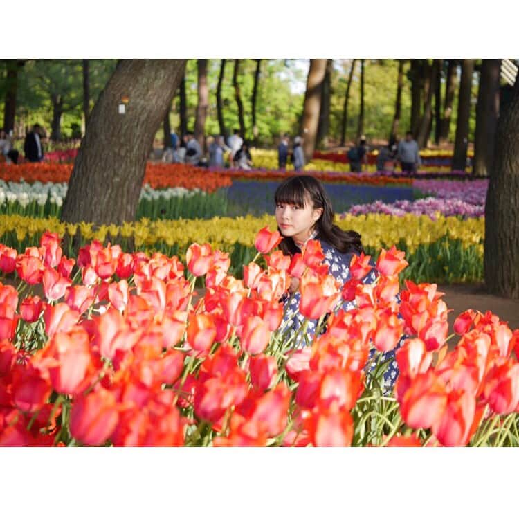 中山莉子さんのインスタグラム写真 - (中山莉子Instagram)「🌷🌷 ・  #GW いかがお過ごしですか？  いろんな#カラー の#チューリップ に 囲まれて幸せだ〜😊💗 ・ #国営ひたち海浜公園#茨城#春#花#ちゅーりっぷ#ゴールデンウィーク#tulip#flower#spring」5月3日 23時37分 - nakayama_riko_official