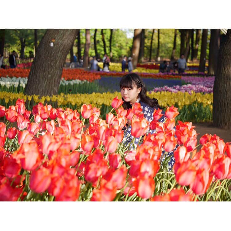 中山莉子さんのインスタグラム写真 - (中山莉子Instagram)「🌷🌷 ・  #GW いかがお過ごしですか？  いろんな#カラー の#チューリップ に 囲まれて幸せだ〜😊💗 ・ #国営ひたち海浜公園#茨城#春#花#ちゅーりっぷ#ゴールデンウィーク#tulip#flower#spring」5月3日 23時37分 - nakayama_riko_official