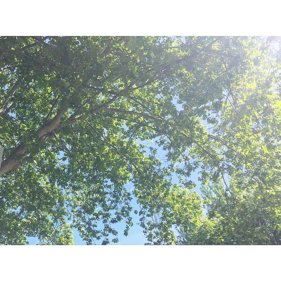 西山真以さんのインスタグラム写真 - (西山真以Instagram)「* Greenery Day🌿 . 気持ちのいい季節になってきたので、@danskin_japan のnewウェアで、ぼちぼち外ランニングを再開しています🏃‍♀️✨ . #hellomay  #greeneryday  #healtylife」5月4日 12時50分 - mai0830