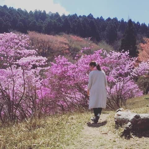 武田訓佳さんのインスタグラム写真 - (武田訓佳Instagram)「風の里、春の花。 瑞穂の着物で来たかった。  #比叡山 #風の里 #つつじが丘」5月4日 9時25分 - kunika0117